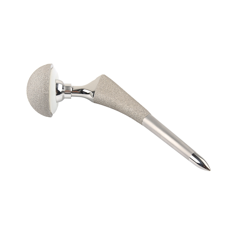 Famous FDS Cementless Stem Hip Joint Prosthesis Supplier, Products