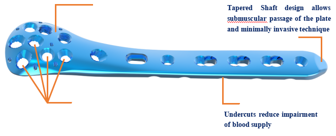 Anatomical shape of proximal humerus plate