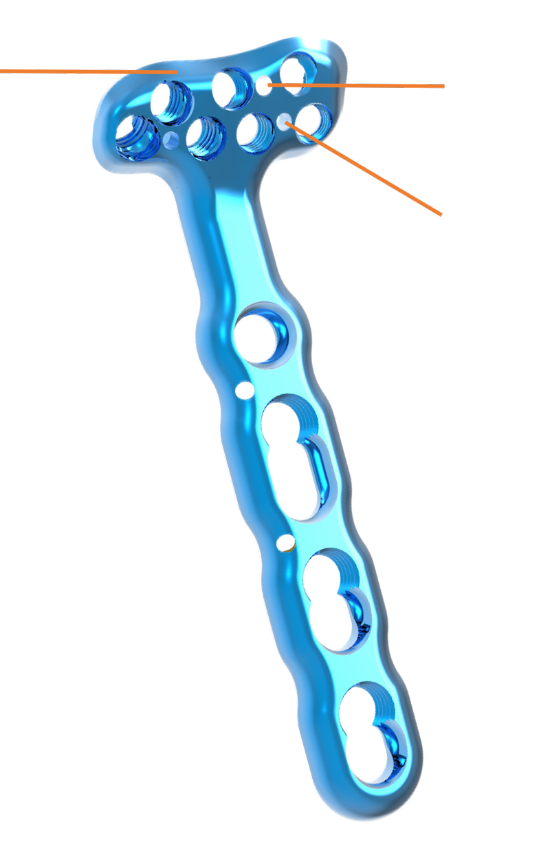 Clinical indication overview