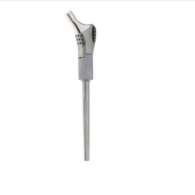 ODM Best Selling DDS Titanium Hip and Joint Implant Prosthesis Suppliers, Factories