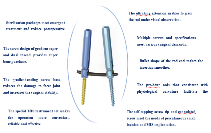 Spinal Pedicle Screw System