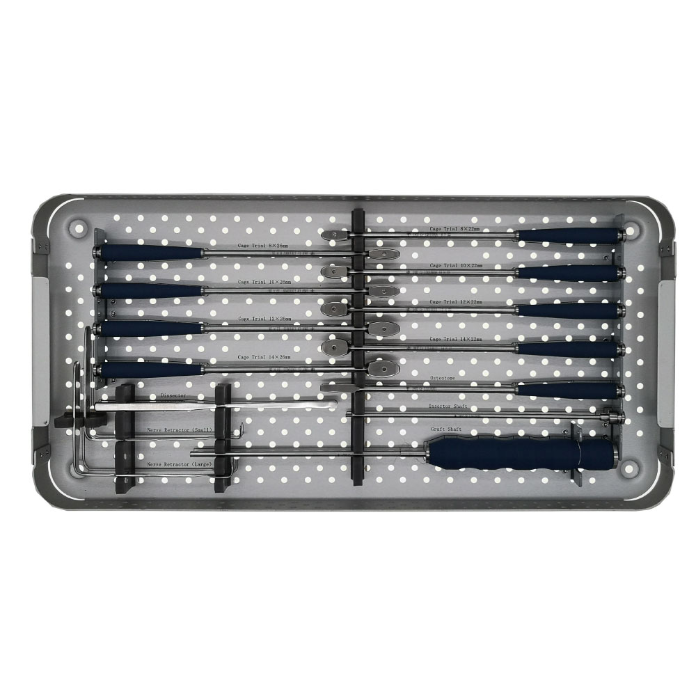 Famous Spine Surgery Thoracolumbar PLIF Cage Instrument Set  Supplier, Suppliers