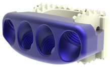 ZP Cervical Cage