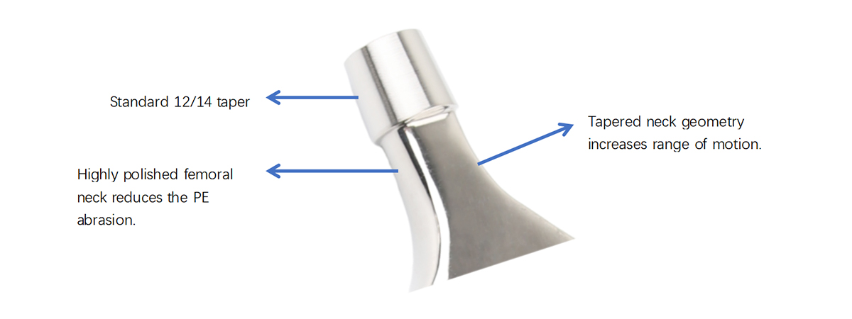 Orthopedic Surgical Evaluation