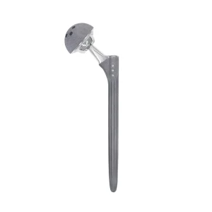 ODM Best Selling DDS Titanium Hip and Joint Implant