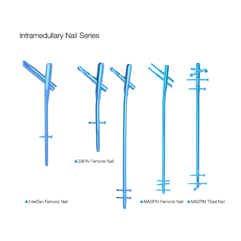 OEM Surgical Hospital Use InterZan Titanium Interlocking Nail for Femur Supplier, Factories