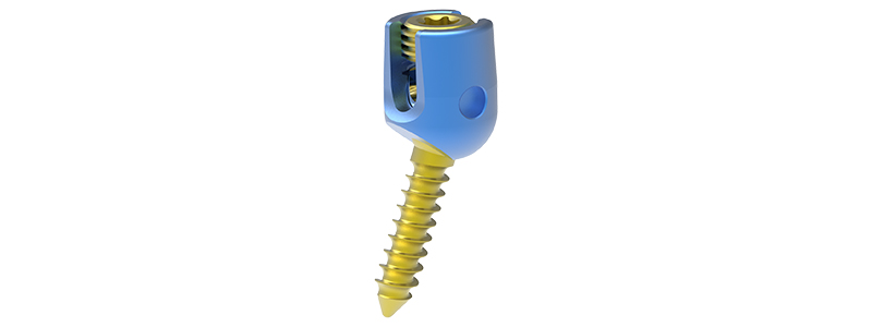 Ladder Multi-Angle Screw I
