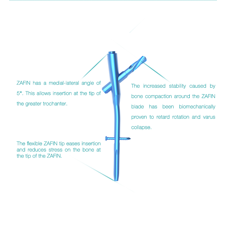 Cheap Surgical Orthopedic Implant Titanium ZAFIN Intramedullary Nail Pricelist, Exporters