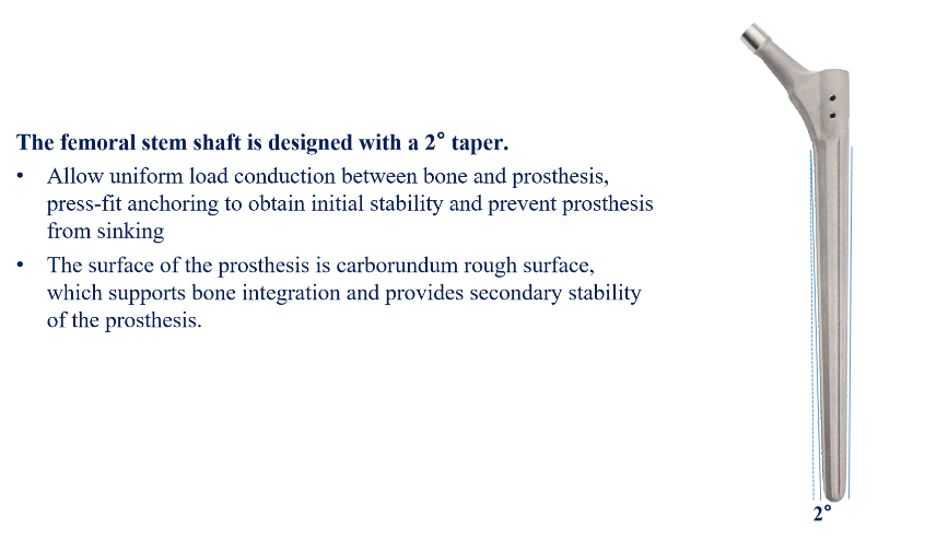 Hip Stem