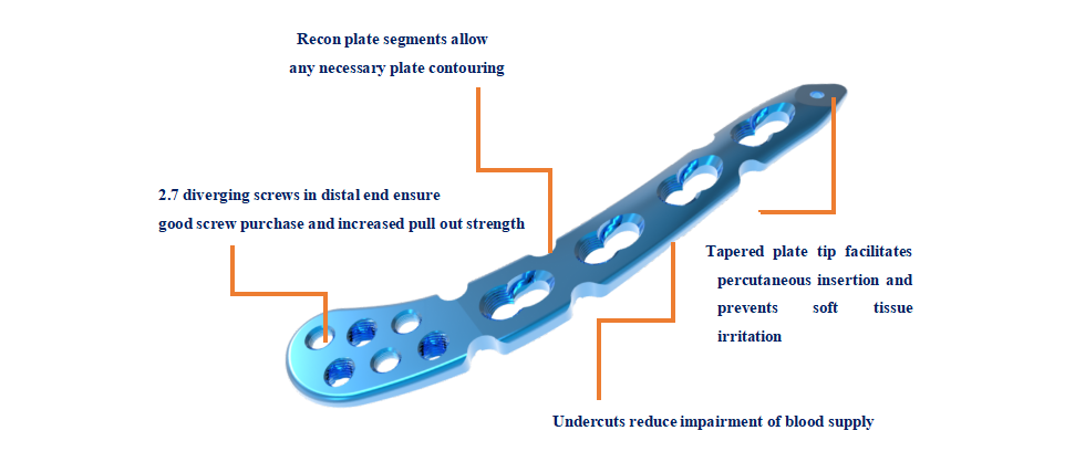 Distal Clavicle Plate Anatomy