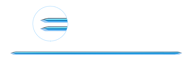 Double Ended Bone Pin