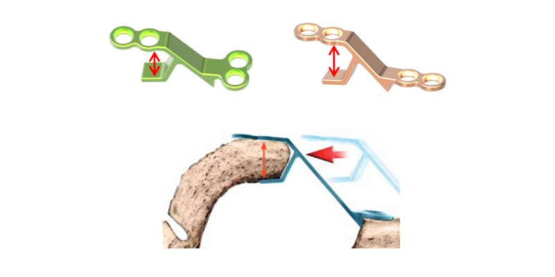 Dome Open Door Wide Mouth Plate