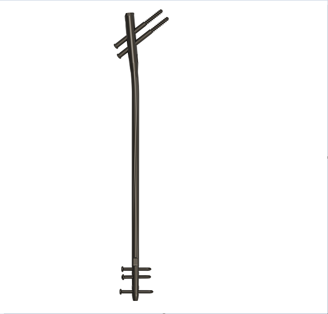 China MASFIN Femur Intramedullary Nail Implant Manufacturer, Manufacturers