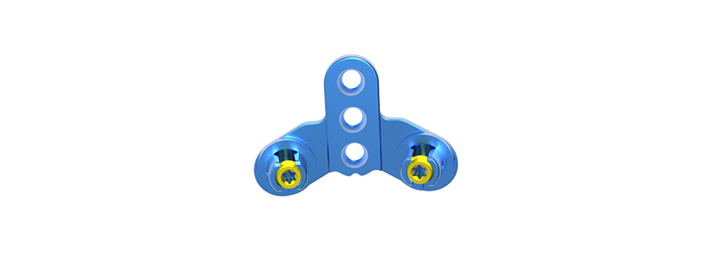 Occipital Plate