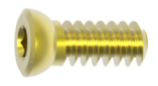 Ladder Occipital Screw