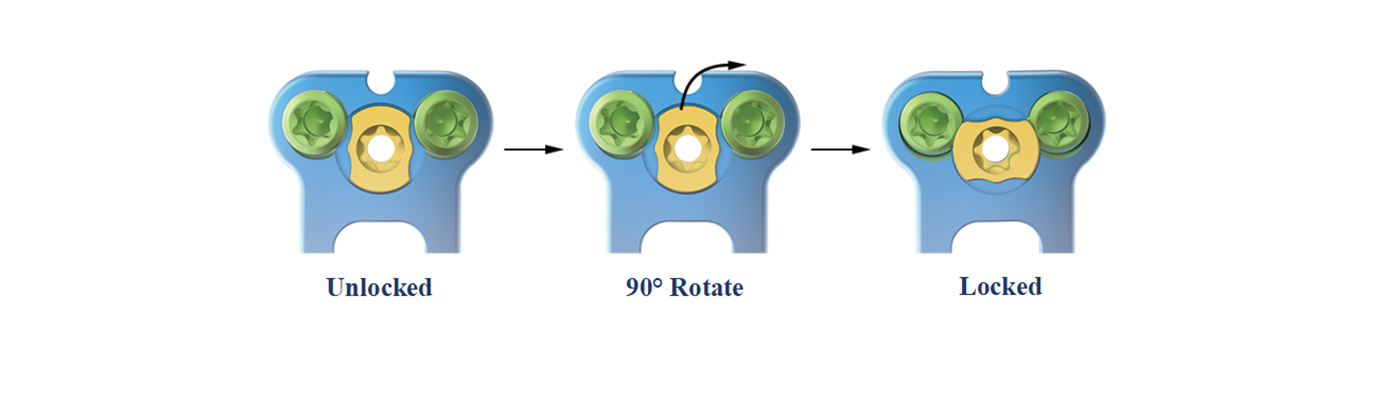 Integrated Plate 1
