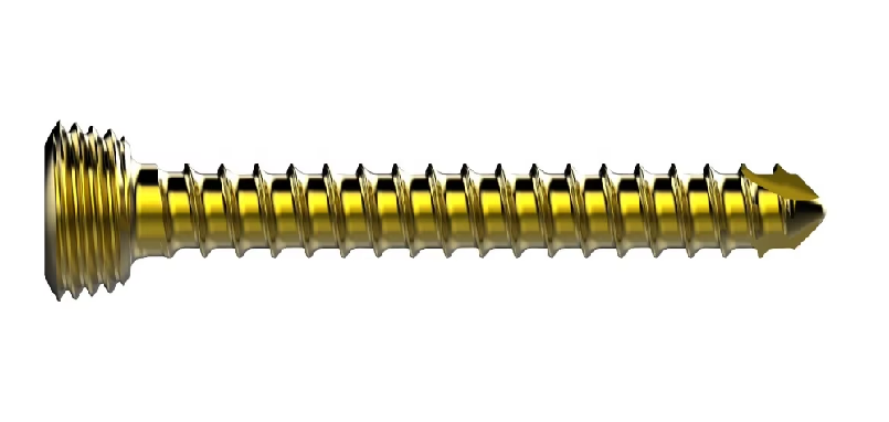 Locking Screw