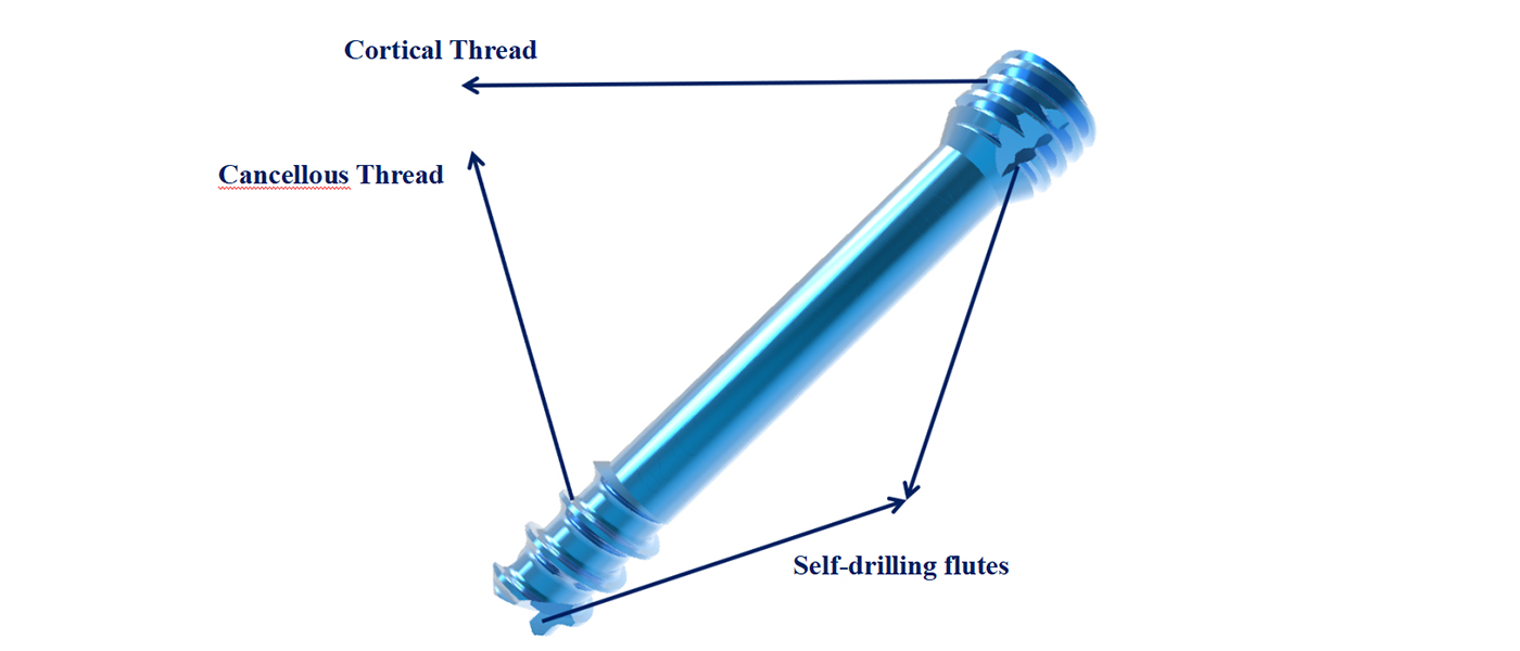 Cannulated Screw