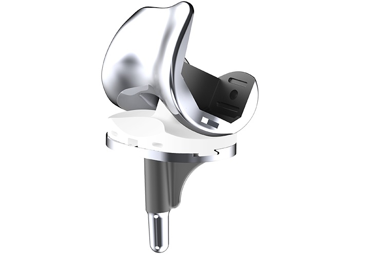 Knee joint anatomical structure