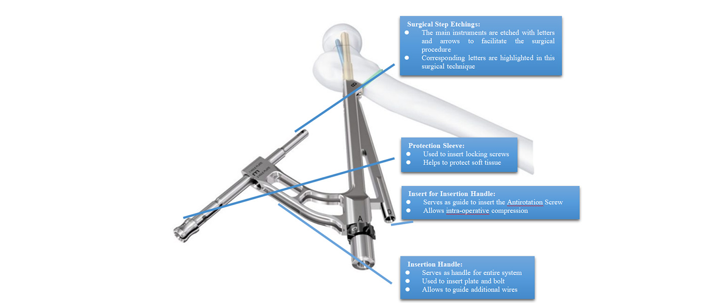 FNAS Clinical Application View 1