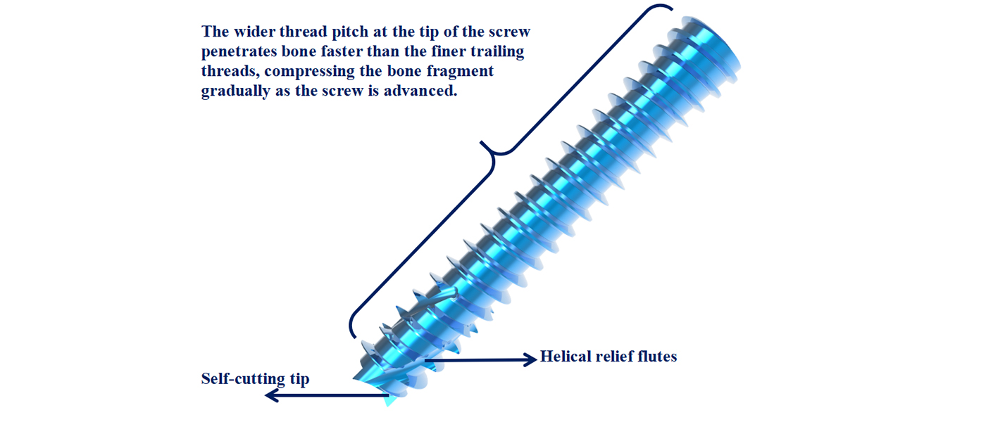 Cannulated Screw