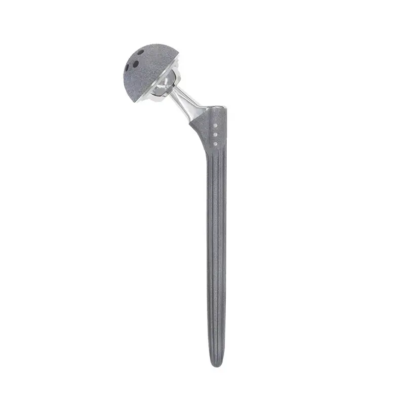 DDS cementless titanium hip stem prosthesis