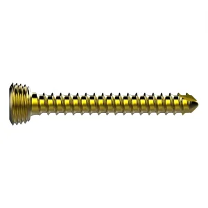 OEM 2.0mm 2.7mm 3.5mm 5.0mm Locking Screw Orthopedic Screw Implants Suppliers, Companies