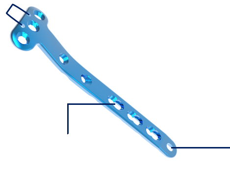 Proximal Medial Tibia Locking Compression Plate Diagram