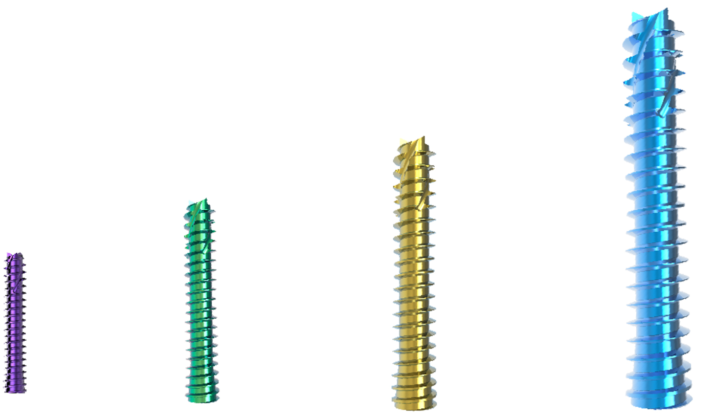 Cannulated Screw