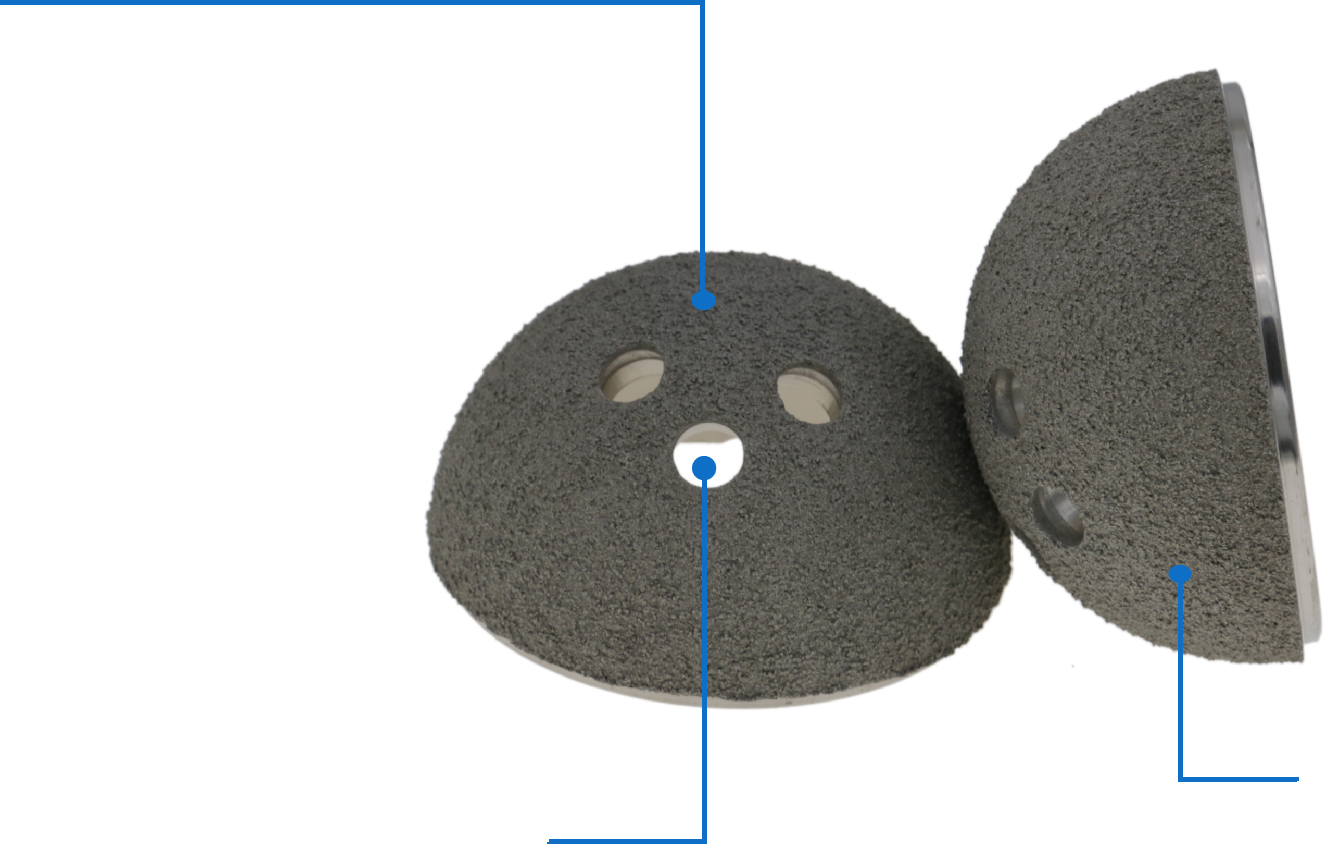 Full radius dome design