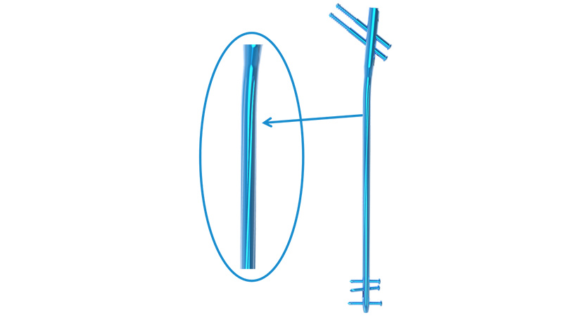 Anatomical Curvature