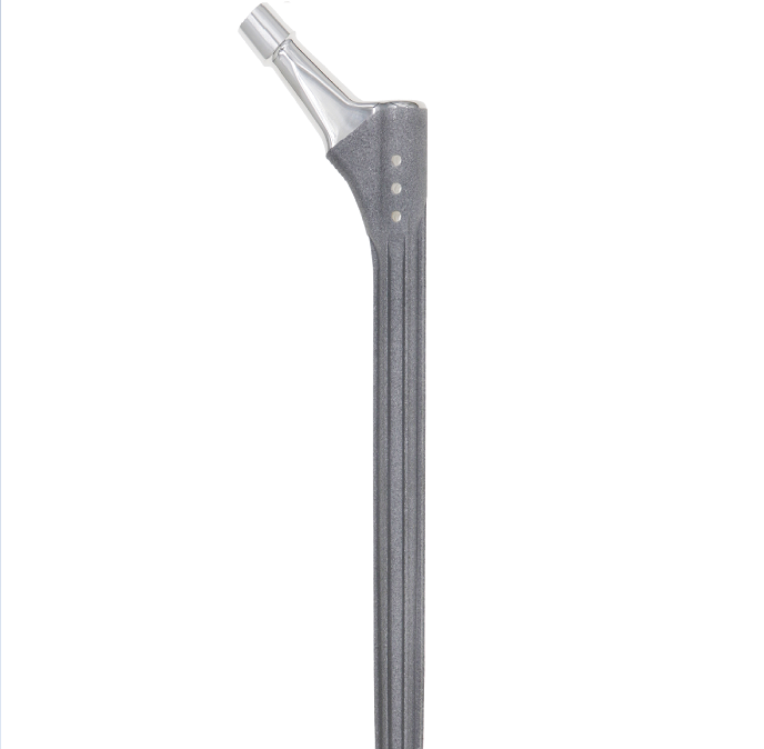 ODM Best Selling DDS Titanium Hip and Joint Implant Prosthesis Suppliers, Factories