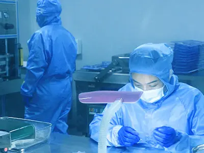 Sterilization and packaging of orthopedic implants