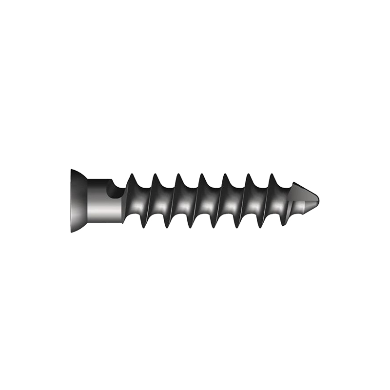 ODM Titanium FDN Acetabular Screw Exporters, Service