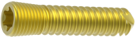 ZP Locking Screw