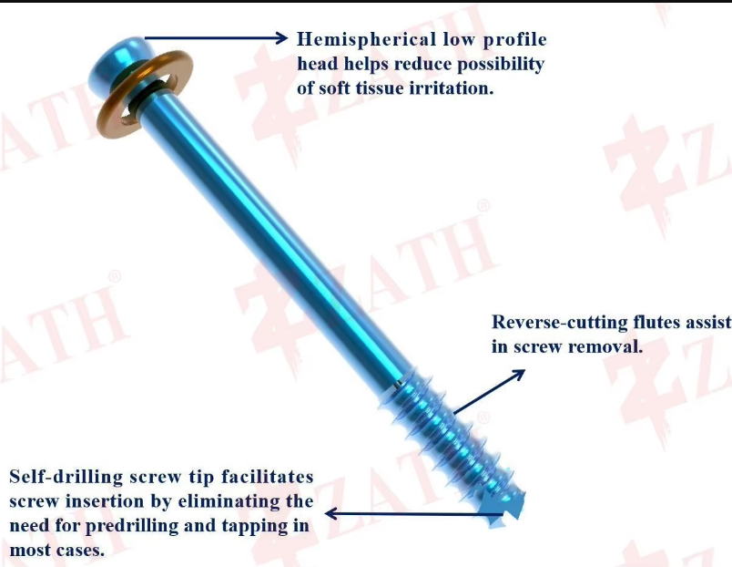 Best Surgical use orthopedic implant cannulated bone screws  Exporters, Companies