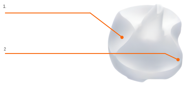 Tibial Insert Design Anterior View