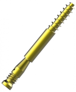 FNAS Antirotation Screw