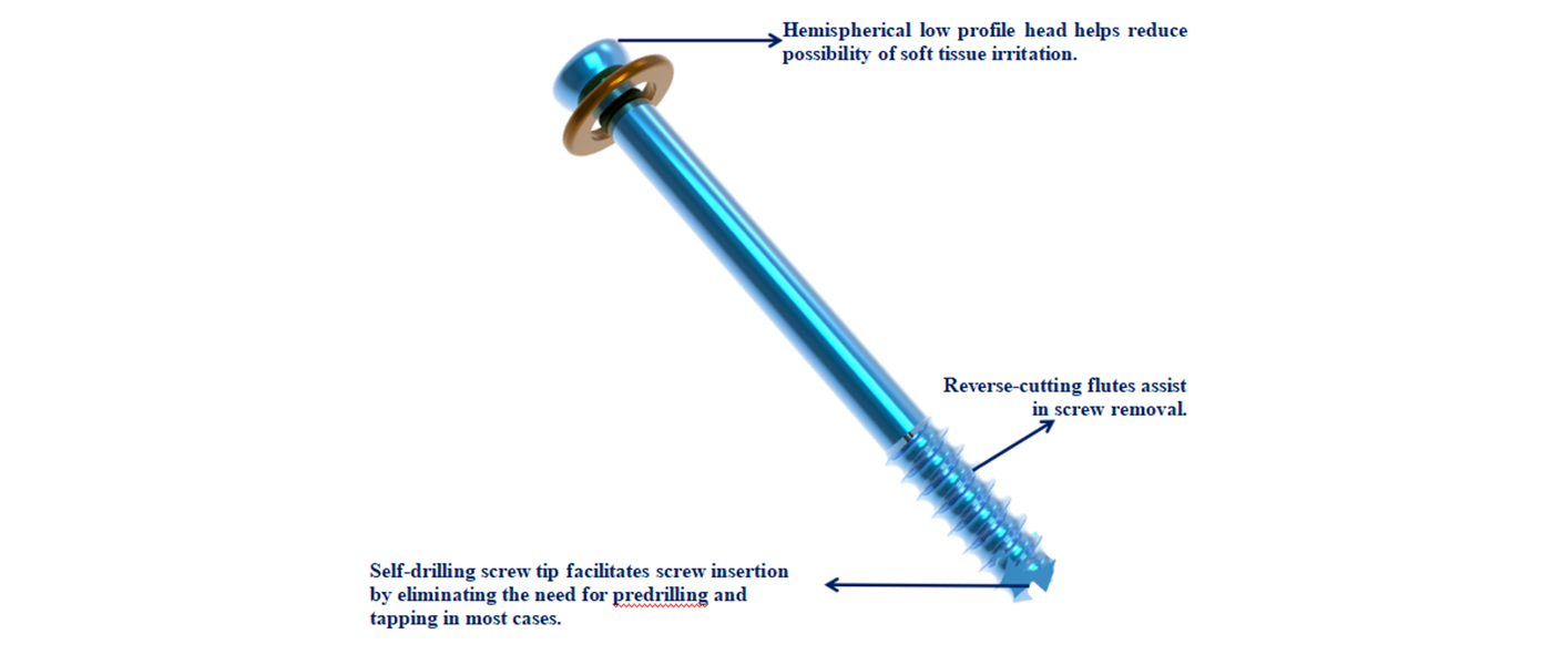 Cannulated Screw Detail