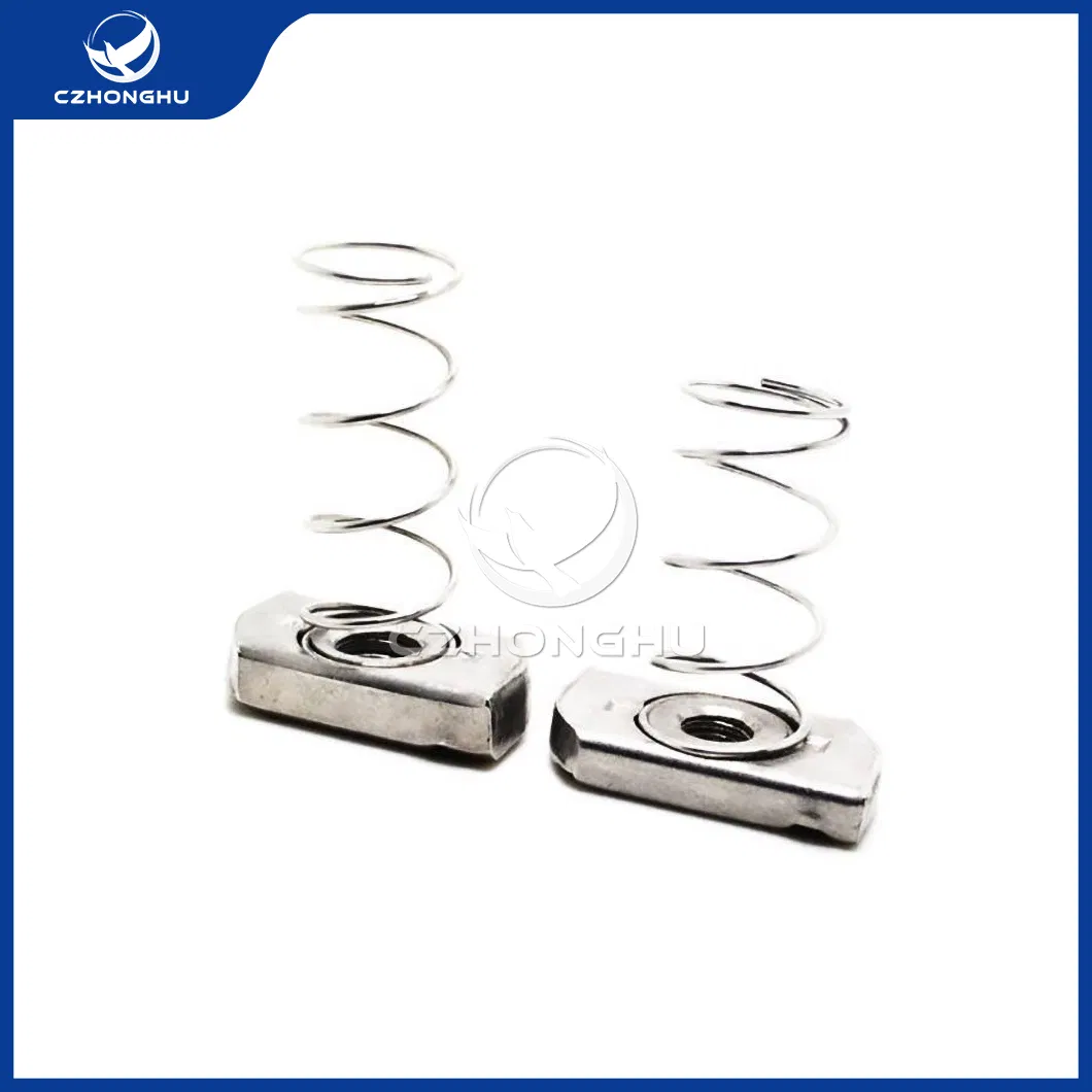 Czhonghu Hardware Fastener China Distributor Galvanized Coated Stainless Steel Strut Channel Slot Leaf Long Spring Nut