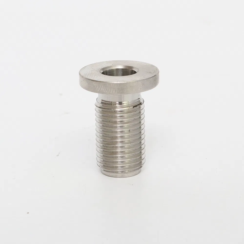 Cold Headed Stainless Steel Components Series Hardware Fasteners for Instrumentation