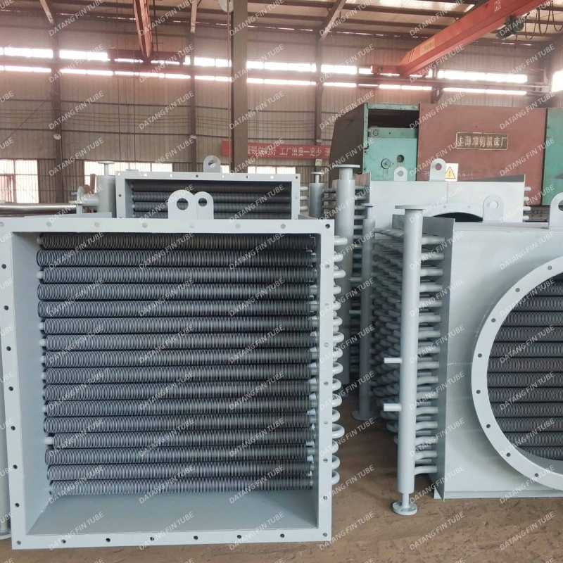 Datang High-Performance Finned Tubing Heat Exchanger for Biomass Systems