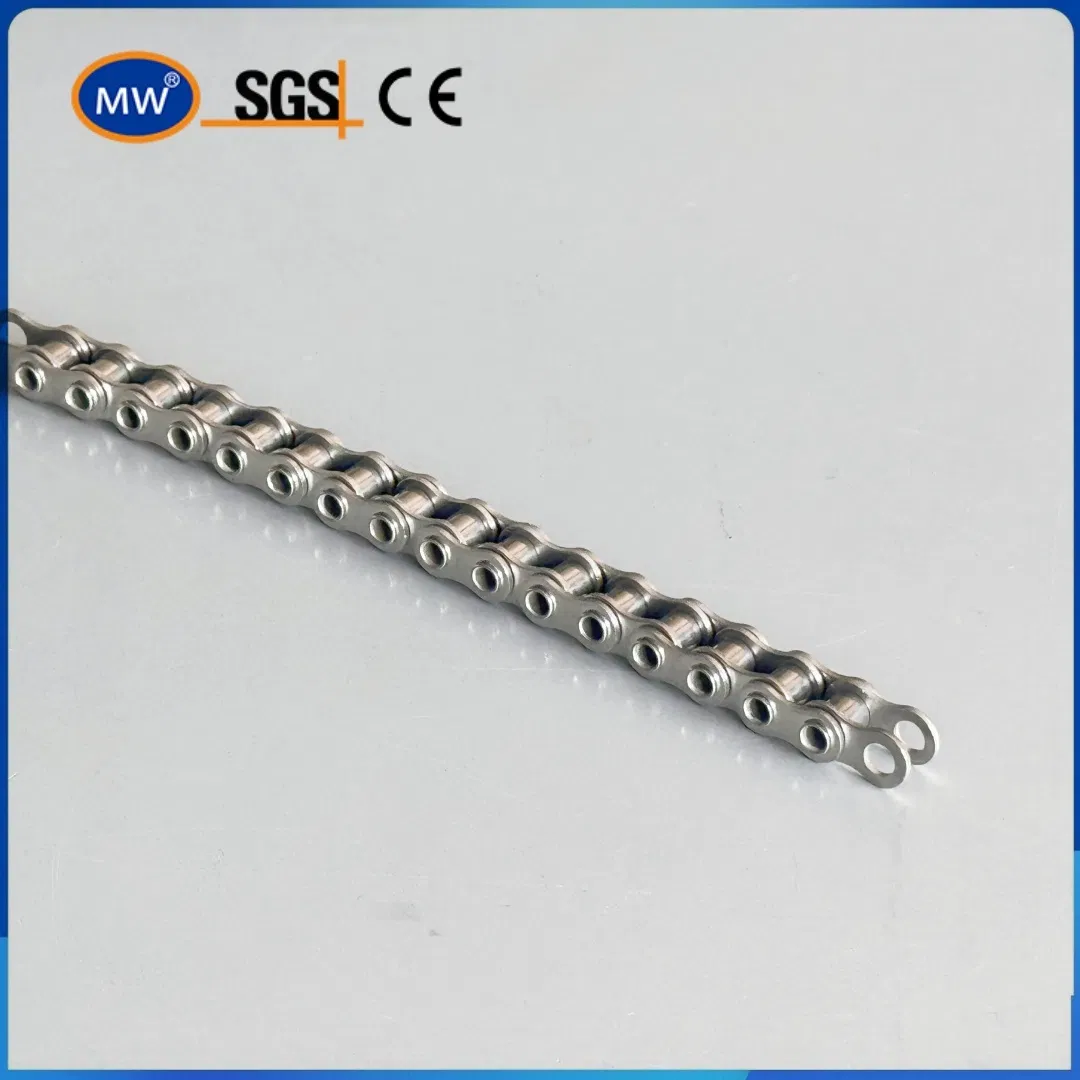 High Strength 10BHPF3 Stainless Steel Hollow Pin Chain Automotive Assembly Chains for Auto Parts Conveying