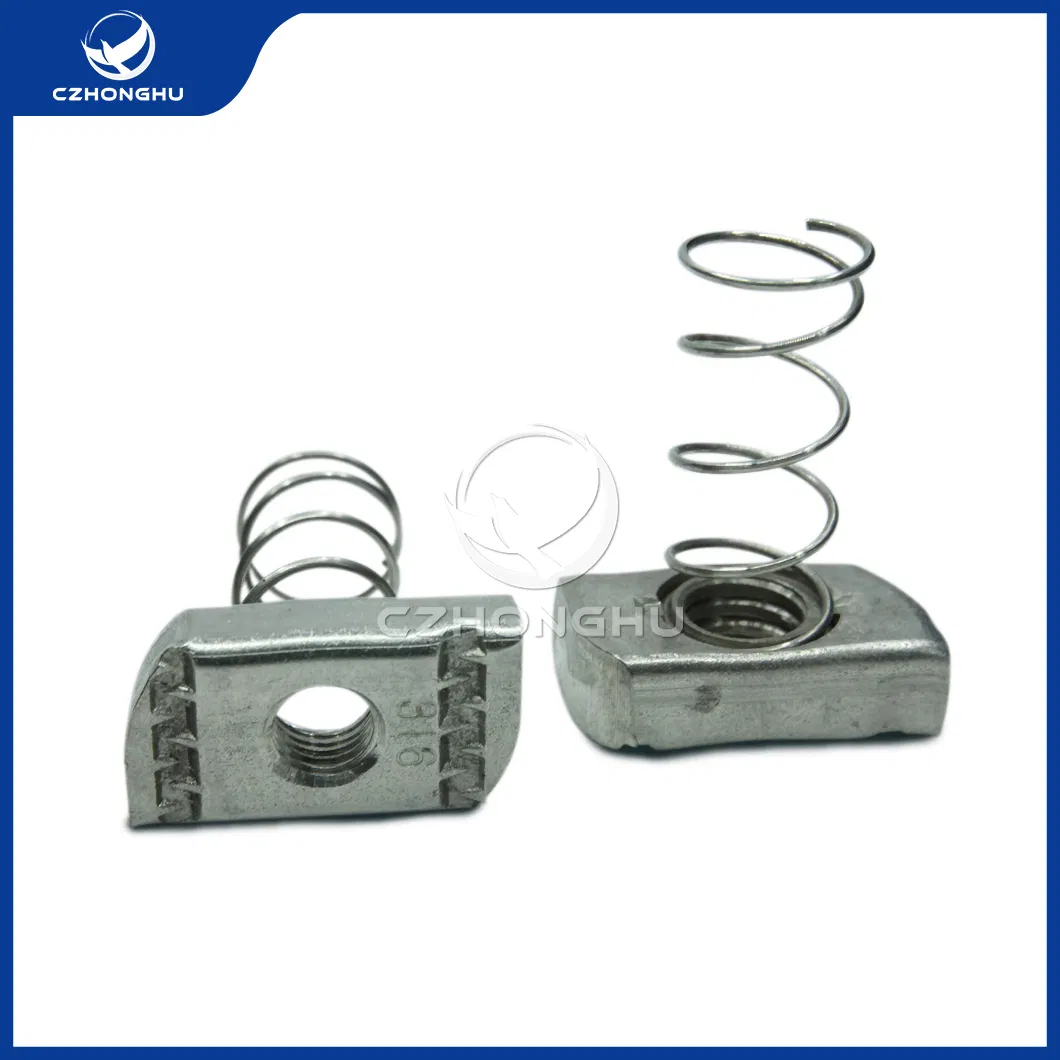 Czhonghu Hardware Fastener China Distributor Galvanized Coated Stainless Steel Strut Channel Slot Leaf Long Spring Nut