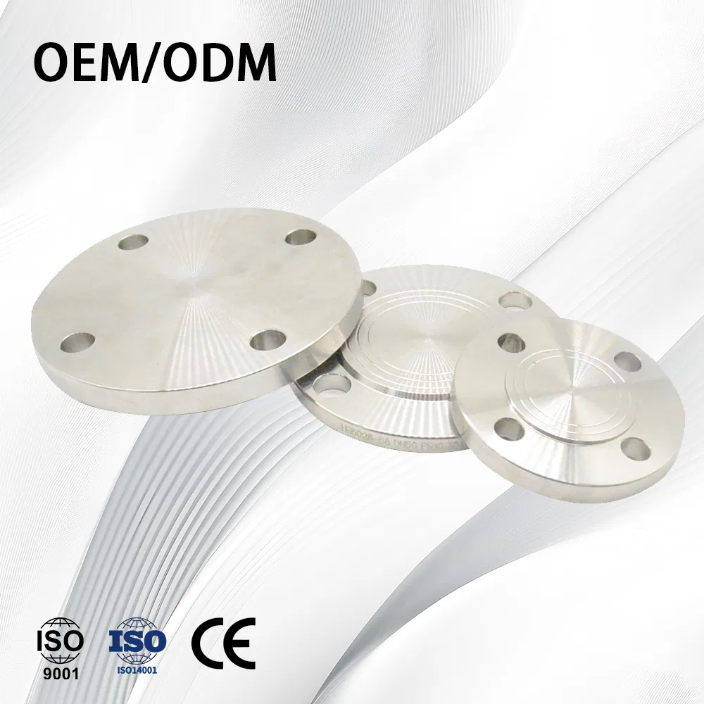 Stainless Steel Customize High Pressure Corrosion Resistant Pipe Flange with Pipe Fittings