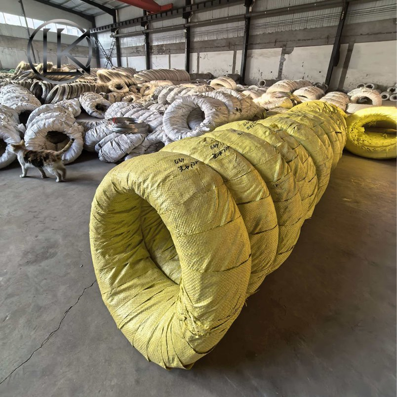 High Strength 304 Stainless Steel Spring Wire for Valve and Pump Assembly