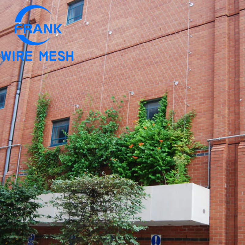 Anping Factory Durable Flexible Architectural Decorative 80mm*80mm Aperture 304 316 Stainless Steel Cable Wire Rope Net for Garden Plant Climbing Support Mesh