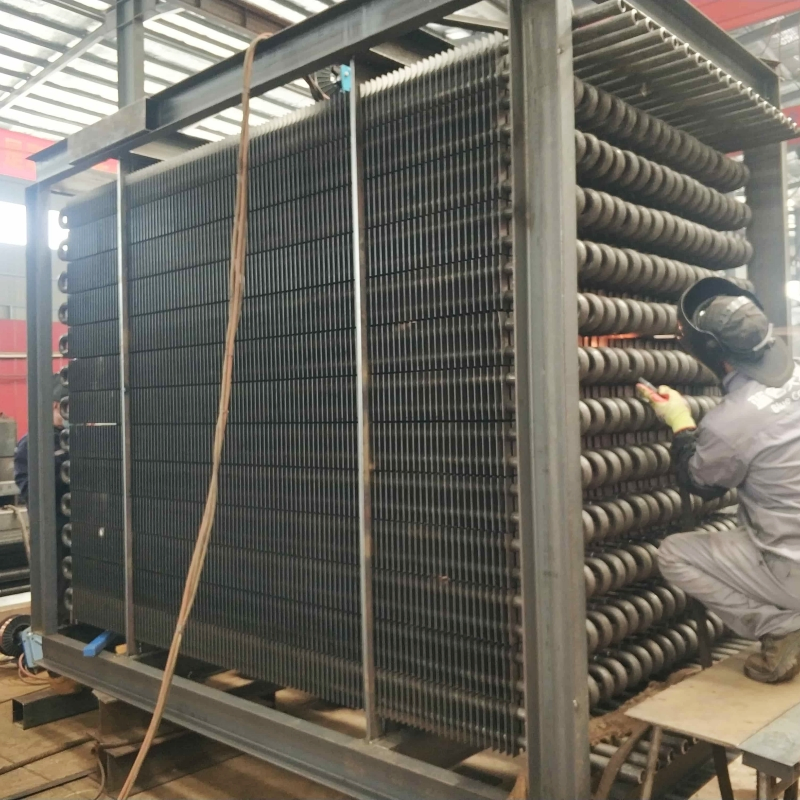 Datang High-Performance Finned Tubing Heat Exchanger for Biomass Systems