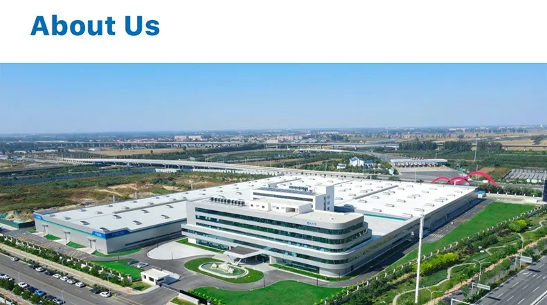 Finished Dome Project