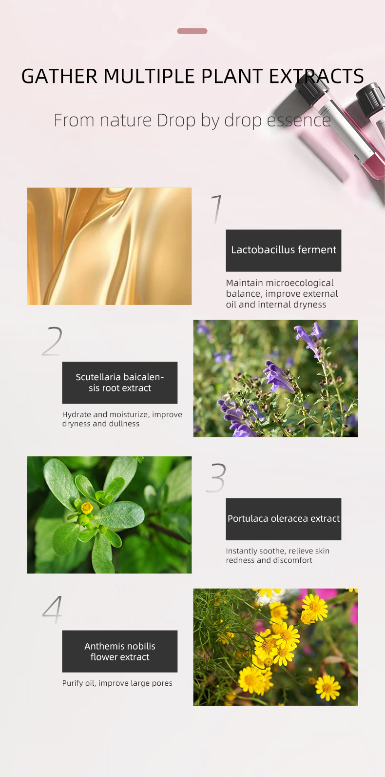 Beaza Essence Toner Product Display